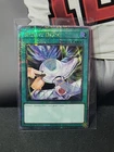 Destiny Draw