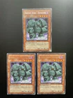 Card Guard