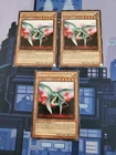 Different Dimension Dragon