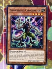 Dinowrestler Capoeiraptor