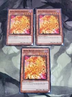 Divine Dragon Apocralyph