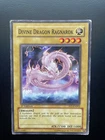 Divine Dragon Ragnarok