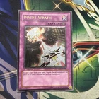 Divine Wrath