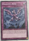 Dragon's Bind