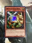 Droll & Lock Bird