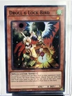 Droll & Lock Bird