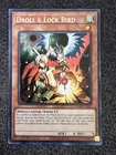 Droll & Lock Bird