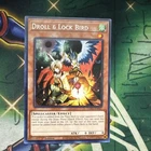 Droll & Lock Bird