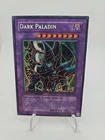 Dark Paladin