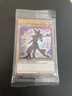 Dark Magician