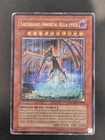 Earthbound Immortal Aslla piscu