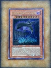 Earthbound Immortal Chacu Challhua
