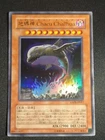 Earthbound Immortal Chacu Challhua