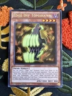 Edge Imp Tomahawk