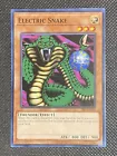 Electric Snake