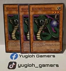Dragon Shield