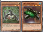 Catapult Turtle