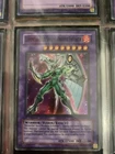 Elemental HERO Shining Phoenix Enforcer