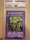 Elemental Hero Thunder Giant
