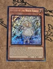 Elzette of the White Forest