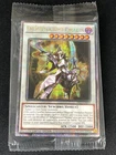 Dark Paladin