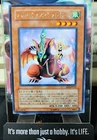 Harpie's Pet Baby Dragon