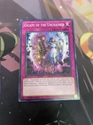 Escape of the Unchained