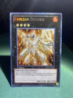 Evolzar Dolkka