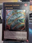 Evolzar Laggia