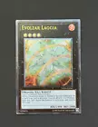 Evolzar Laggia