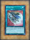 Extra Net