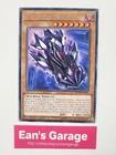 F.A. Dark Dragster