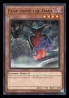 Fear from the Dark