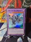 First of the Dragons