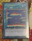 Fish Sonar