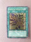 Flash of the Forbidden Spell