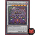 Flower Cardian Lightflare