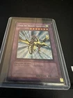 Gaia the Dragon Champion