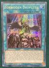 Polymerization