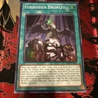 Forbidden Lance
