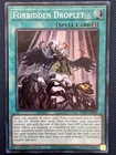 Disciple of the Forbidden Spell
