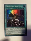 Disciple of the Forbidden Spell