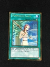 Forbidden Lance