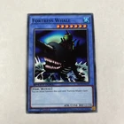 White Aura Whale