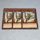 Skelesaurus