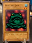 Turtle Bird