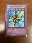 Gaia the Dragon Champion