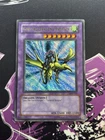 Gaia The Dragon Champion