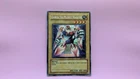 Gamma The Electromagnet Warrior