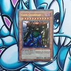 Gate Guardian